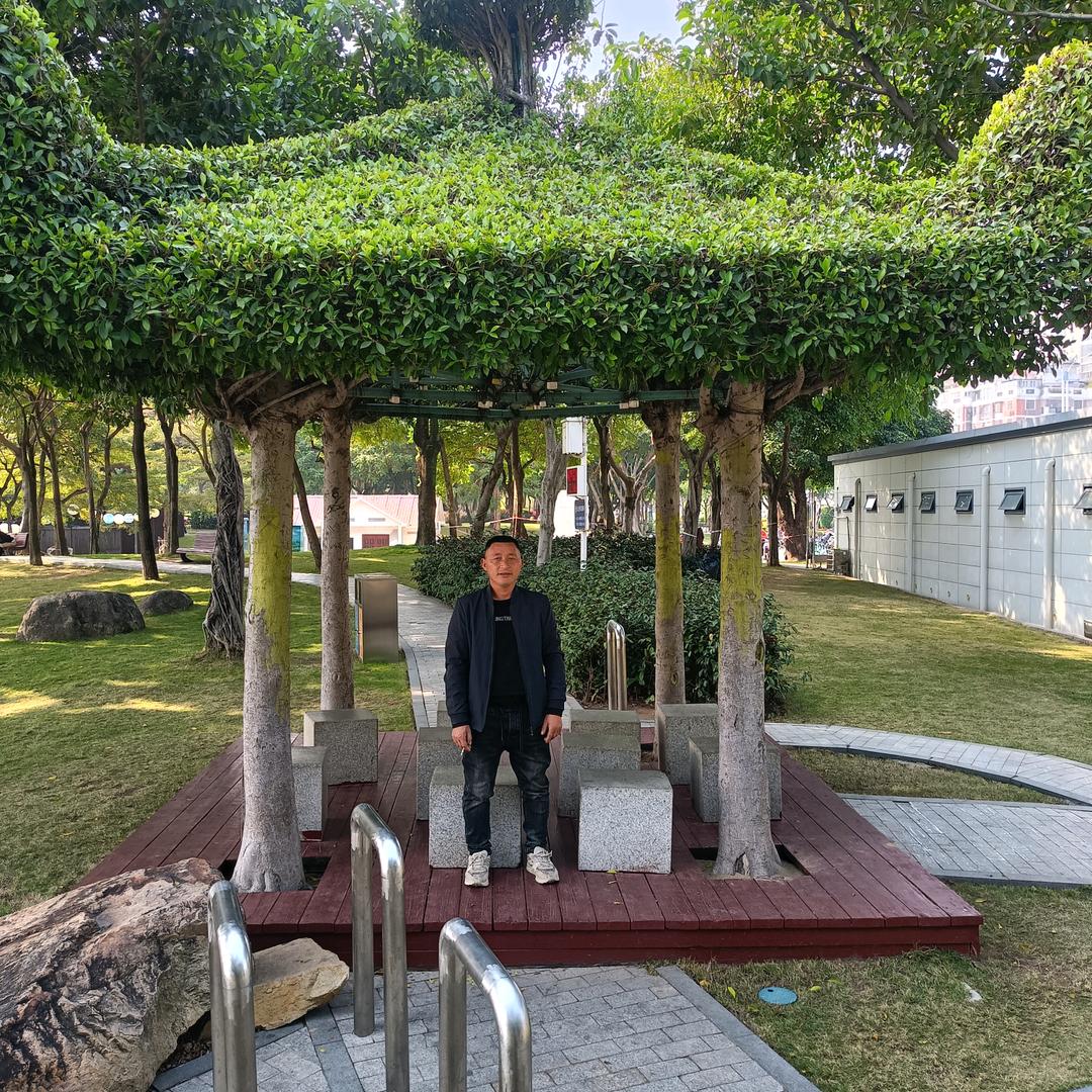 爱你不后悔