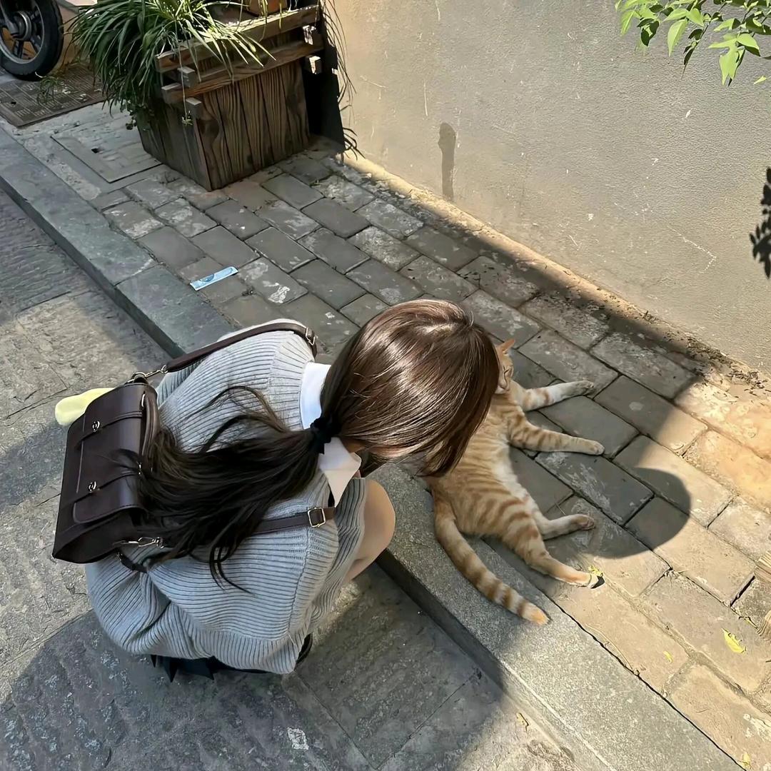 高冷呆呆鱼