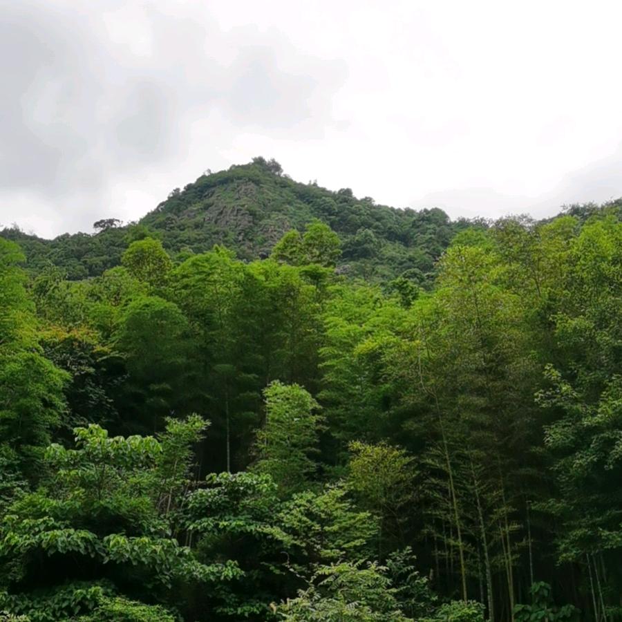 隐形虎牙