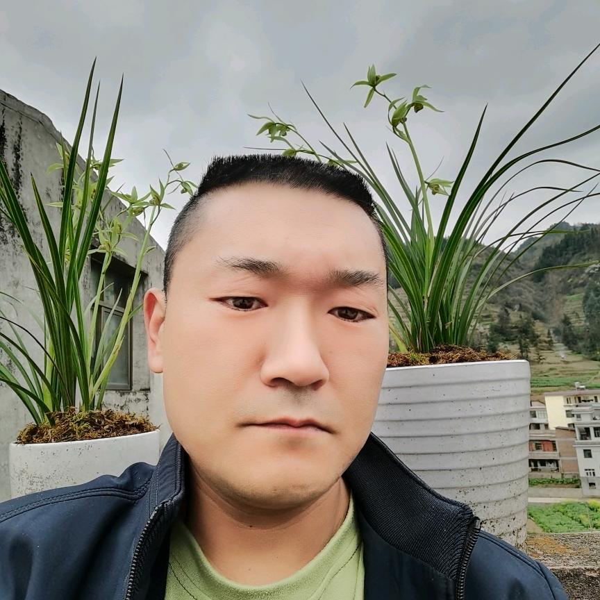 ｛天马卍࿊࿊卍行孔｝