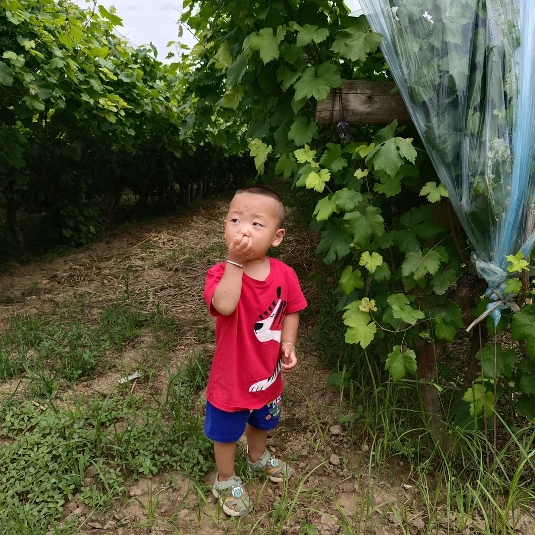 刘一碗周