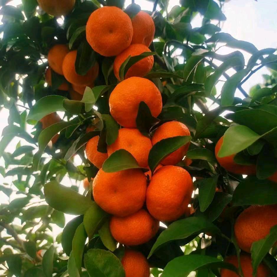 🕊今生ℒℴѵℯ最美的·遇見¹³¹⁴