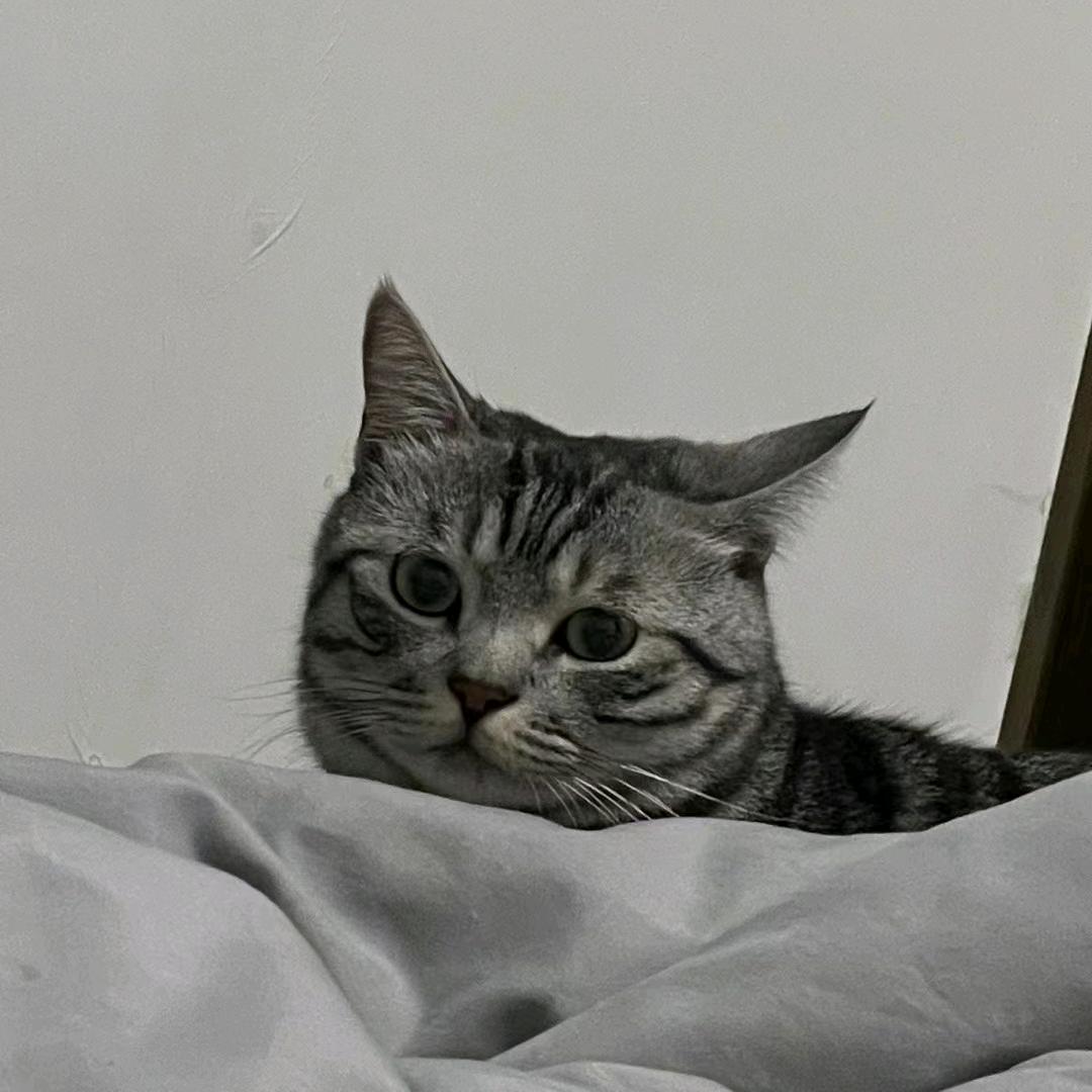 懿💤