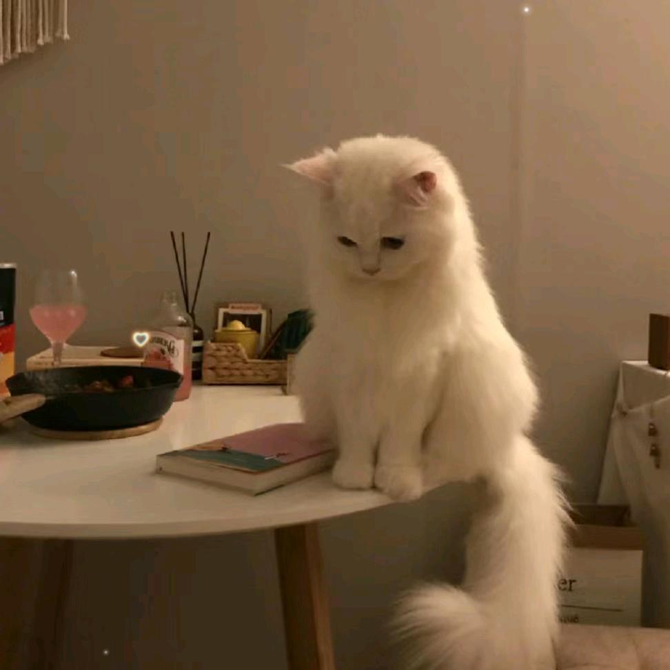 O.