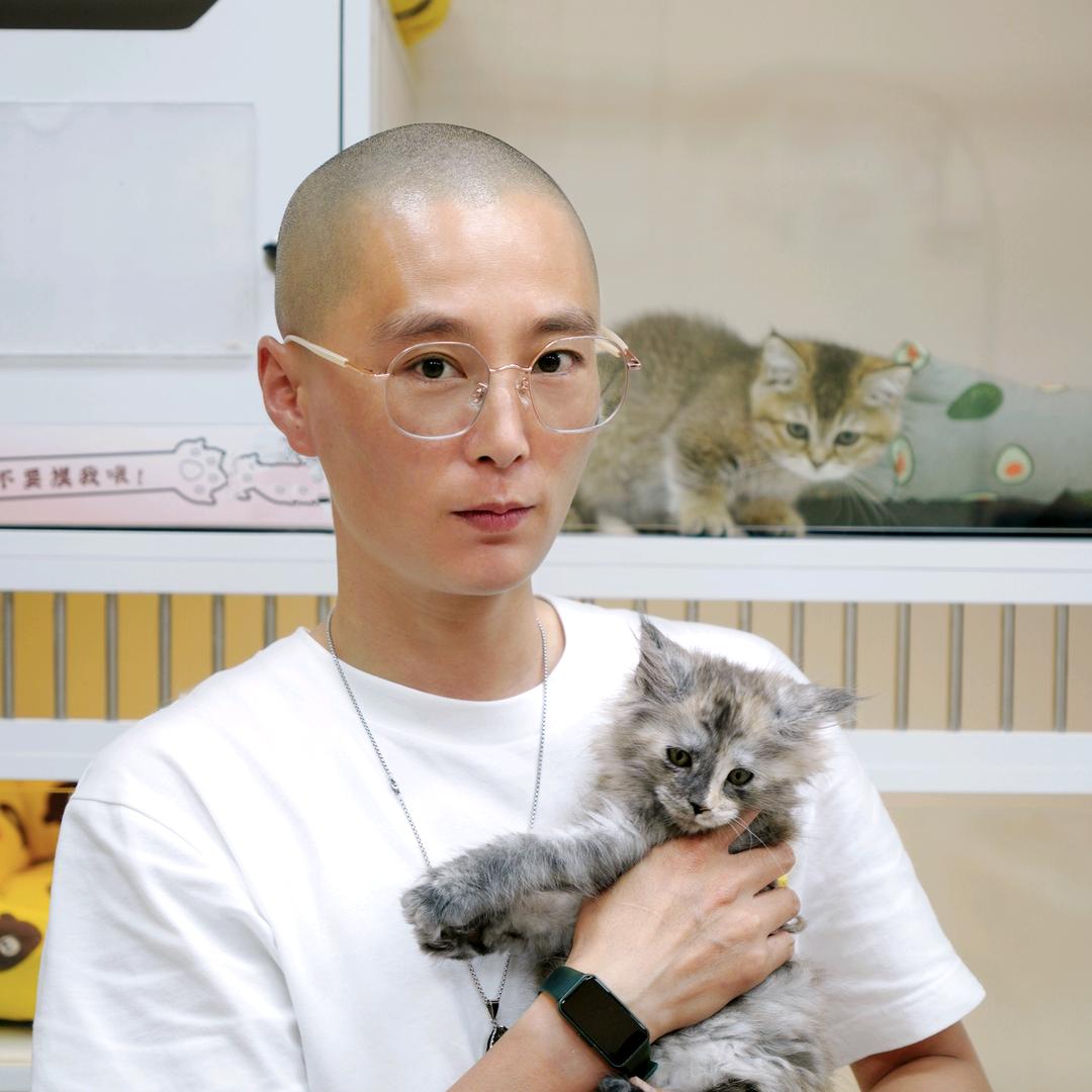 刘大喵的 猫舍
