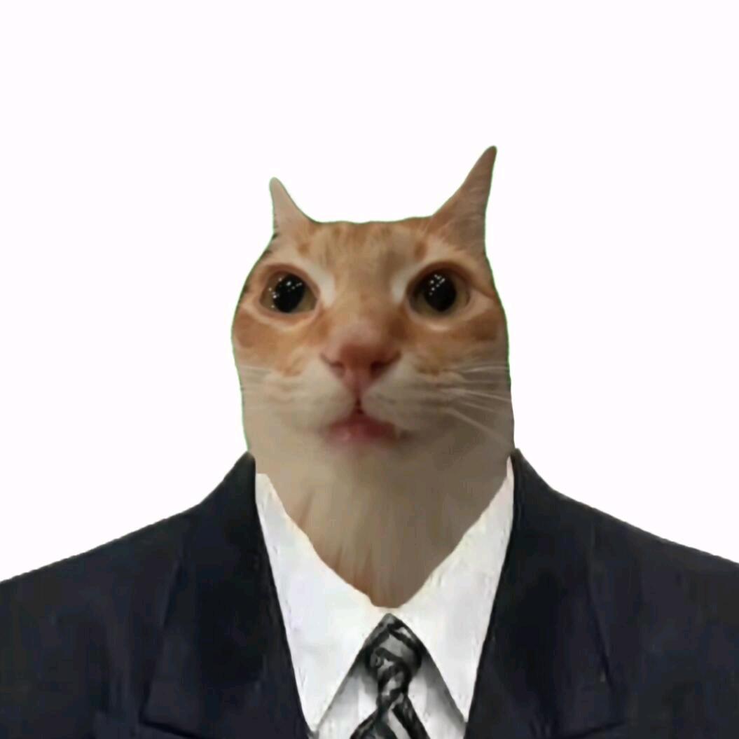 总裁猫