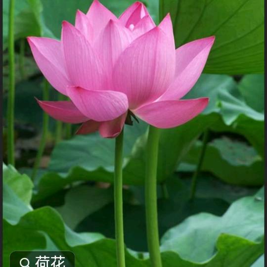 小帅哥