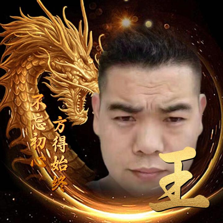 皖北王卫