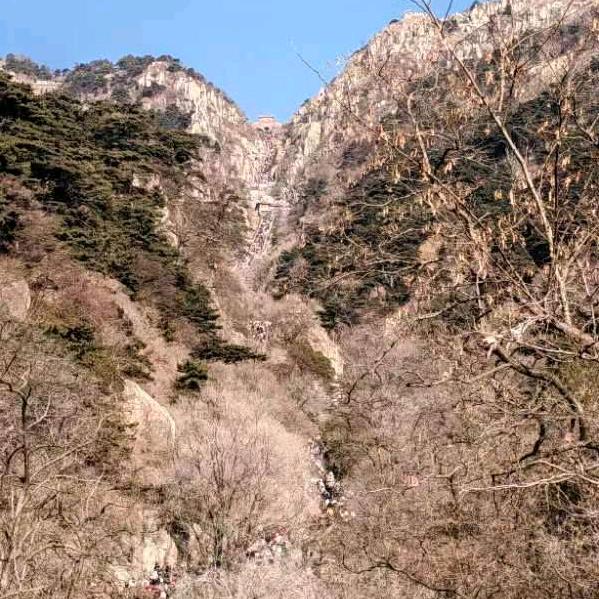 香香