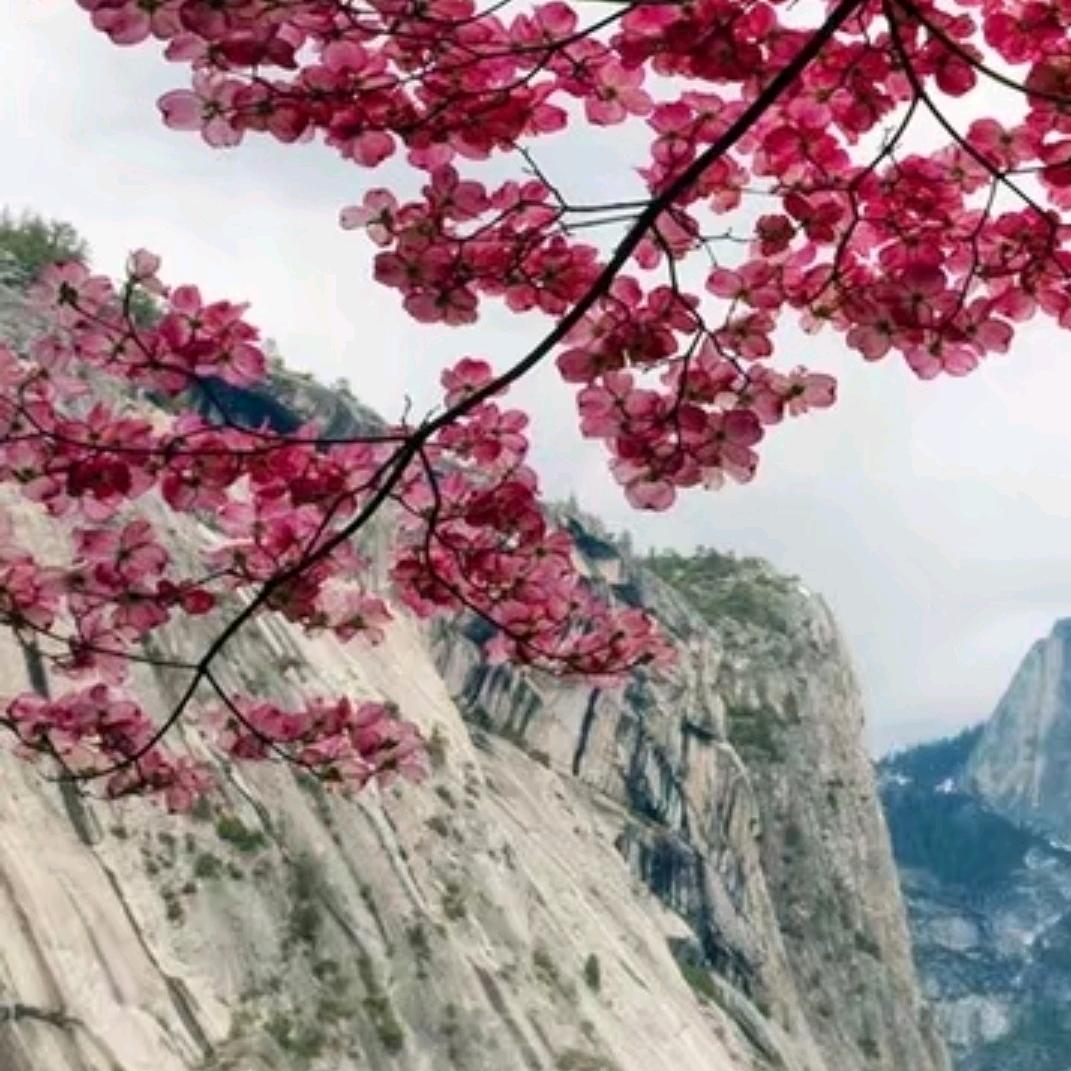 无风皆自由