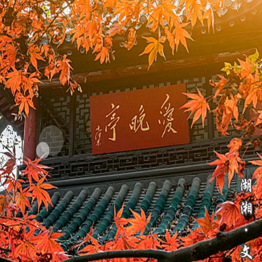 春风微凉