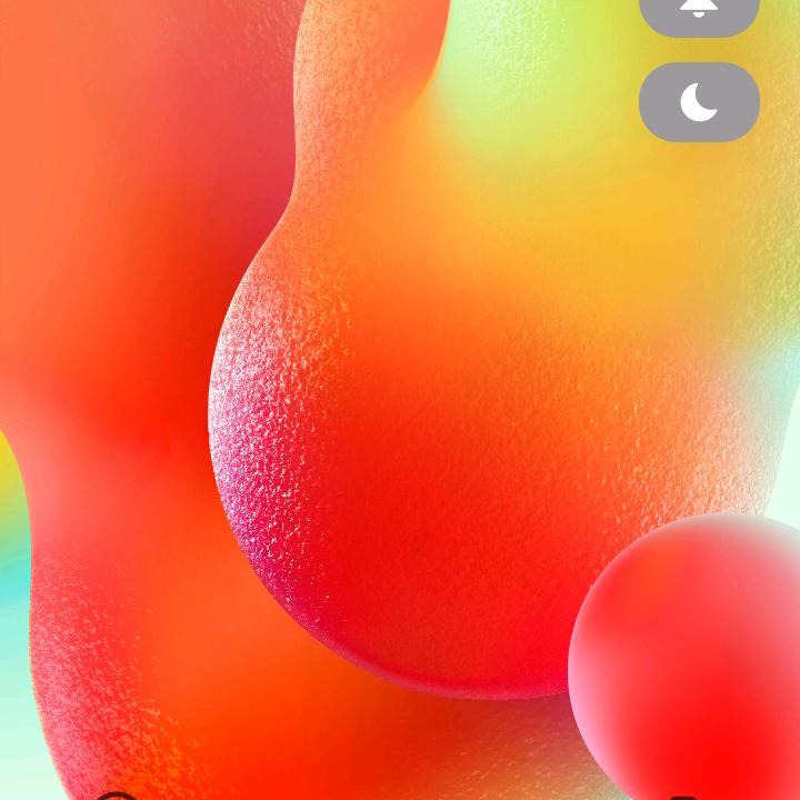 喵小姐的多萌空间