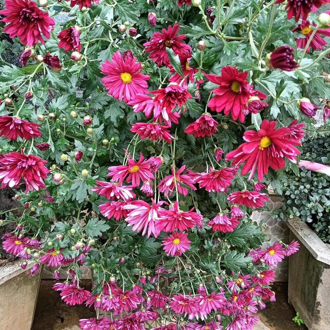 好人一生平安❤️