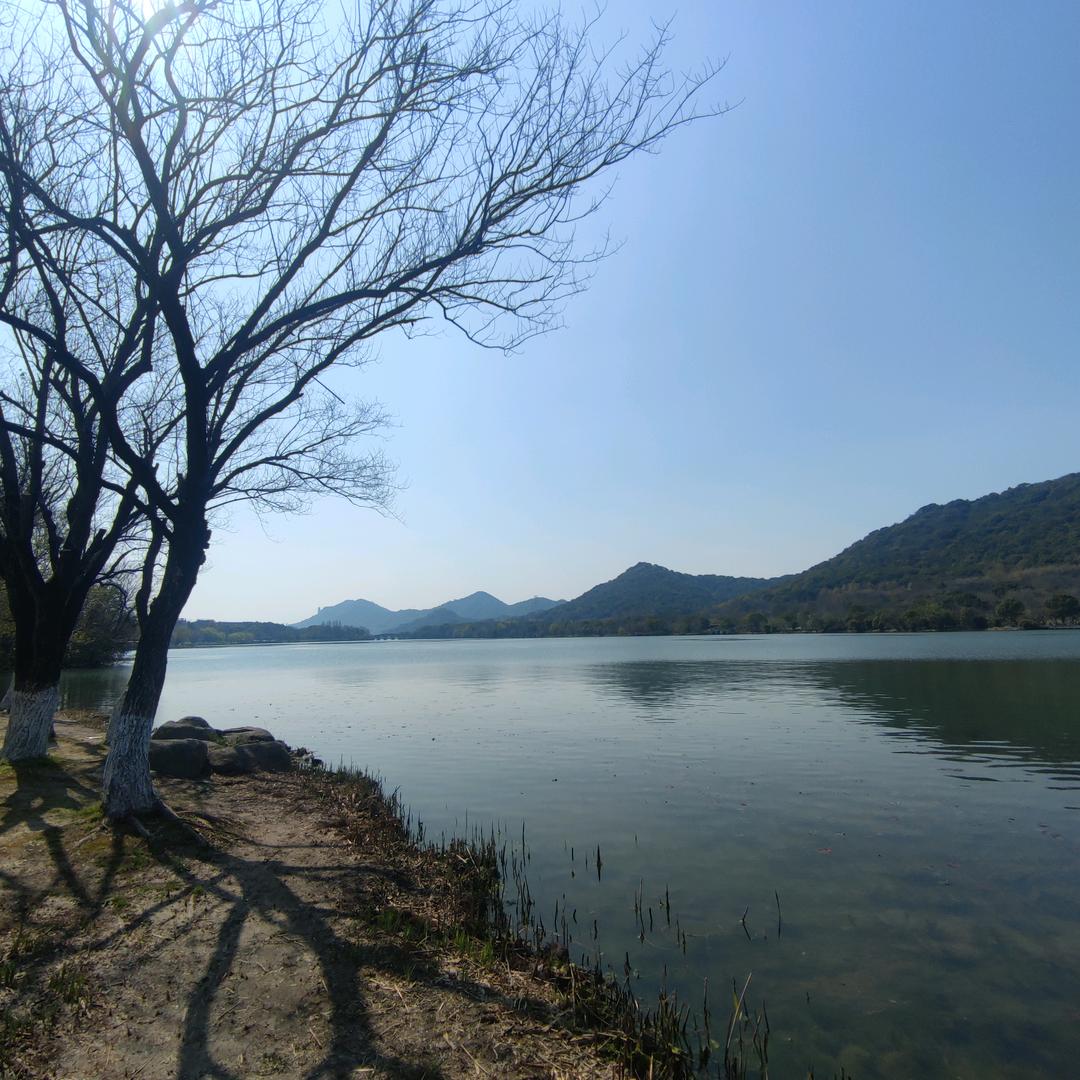 向往风一样的自由