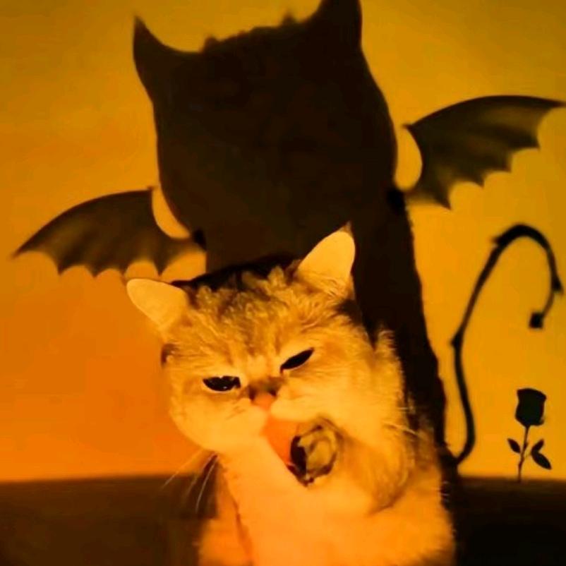 安德~塞恩娜～丽丽丝