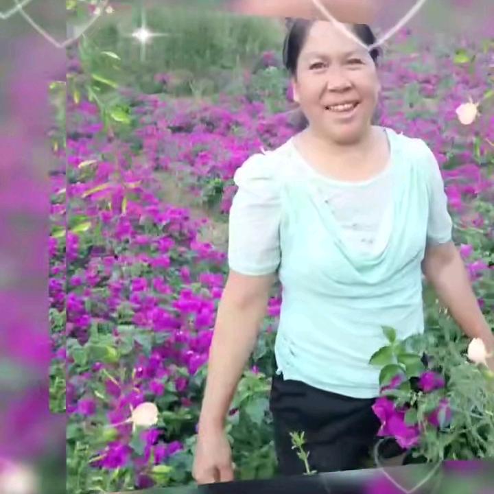 爱的世界只有你