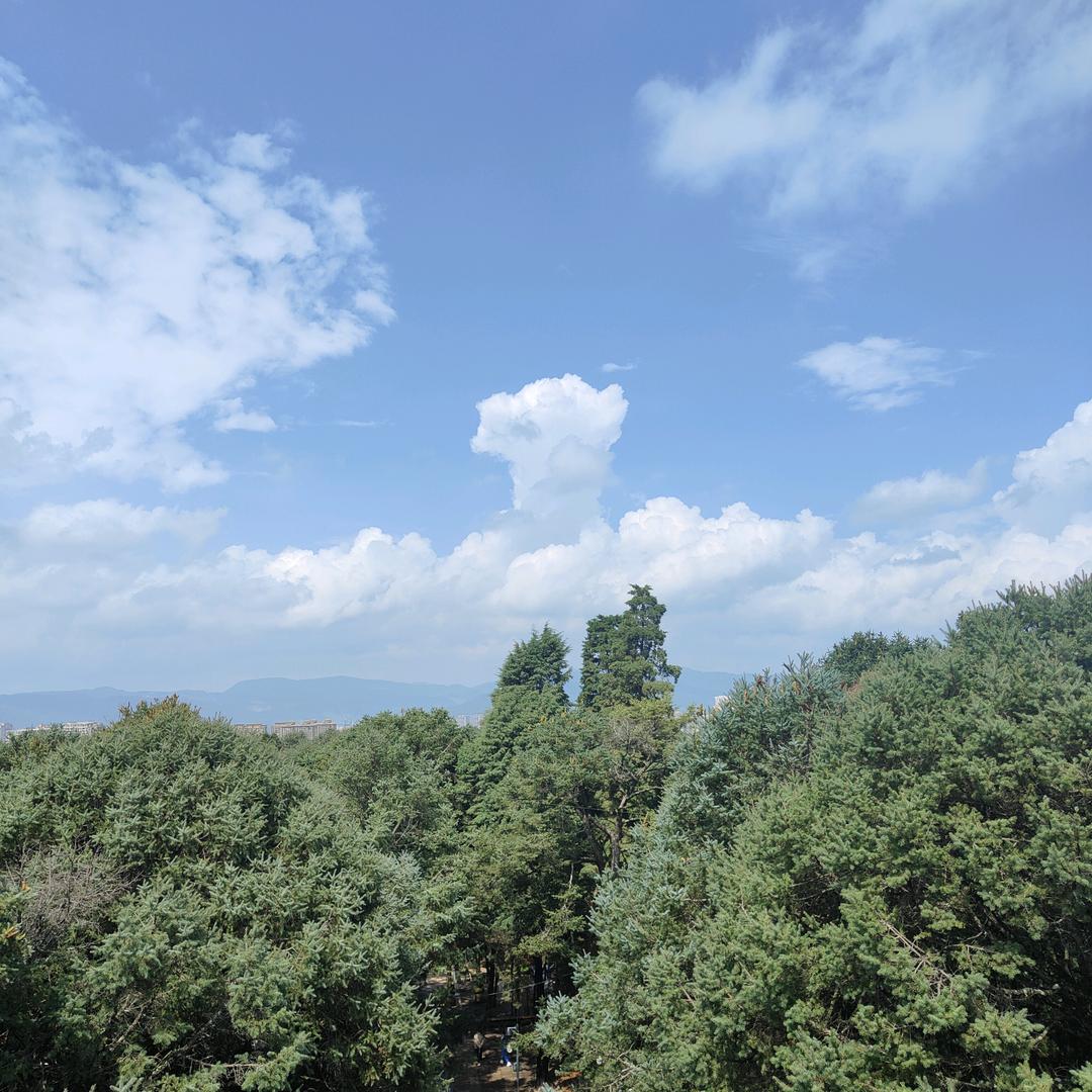 ***喜红藏