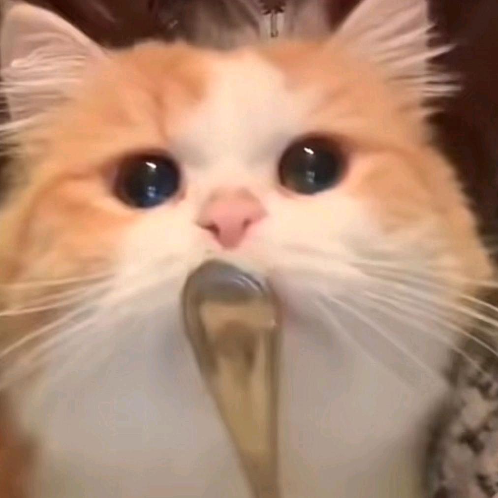 小倩