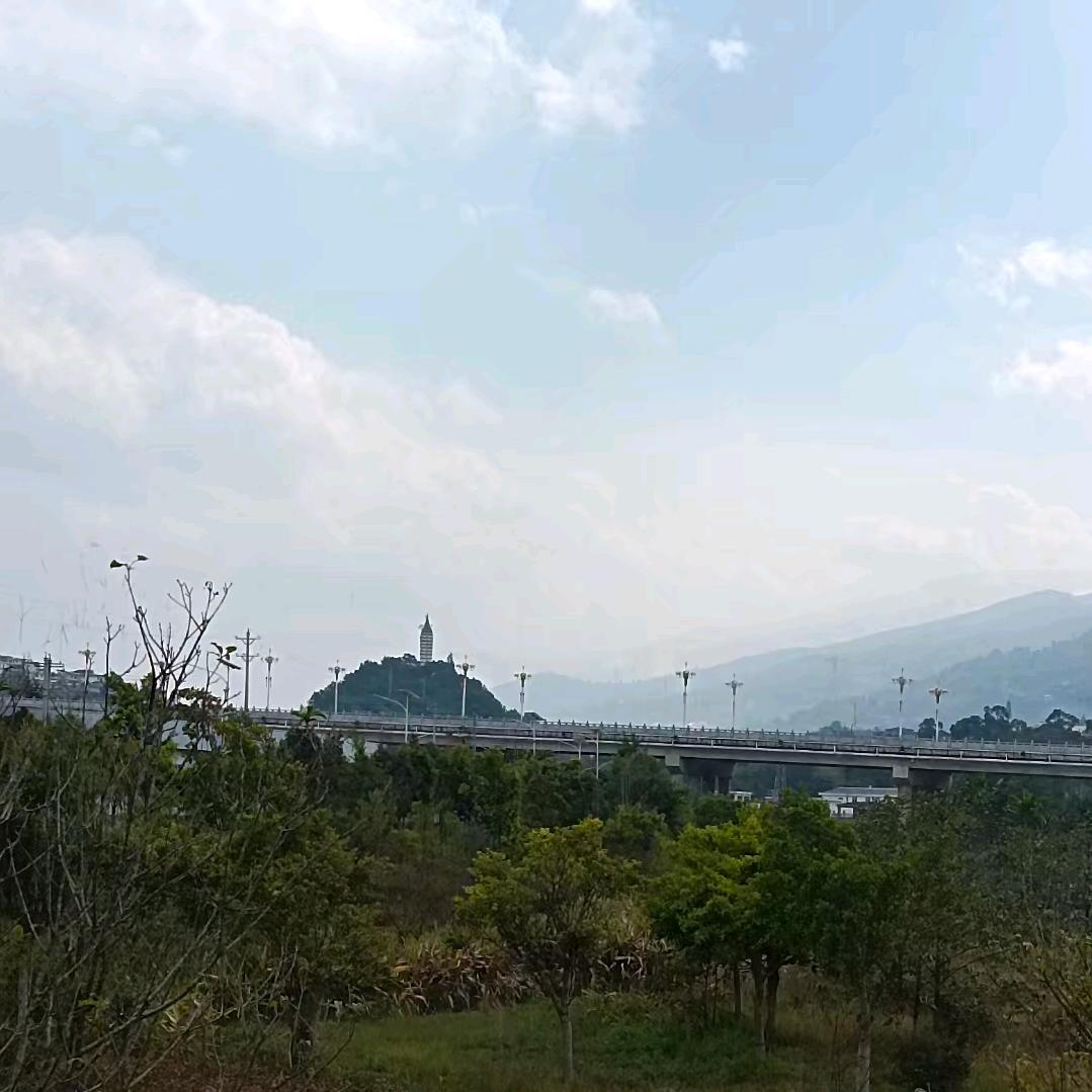无娮鍀㶵