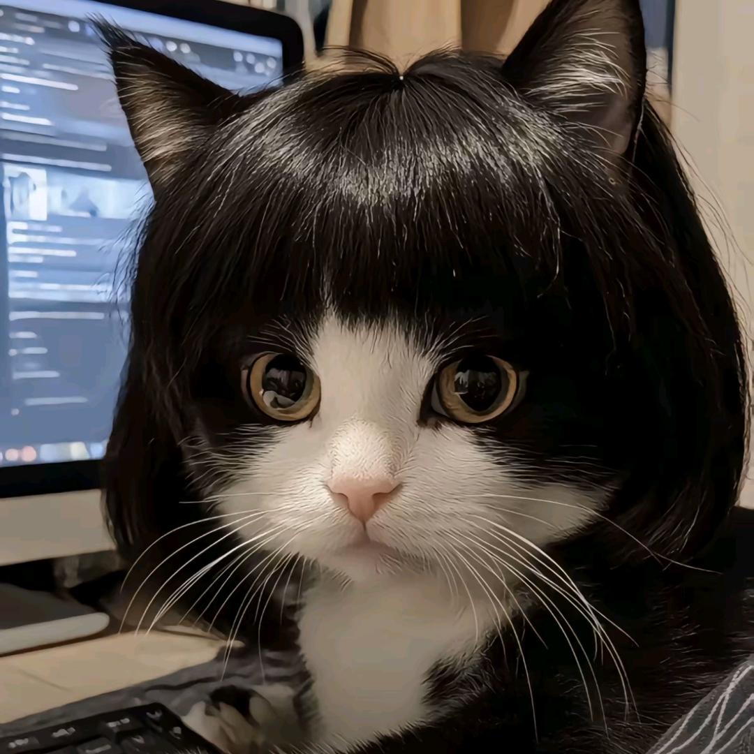 嘟噜噜～