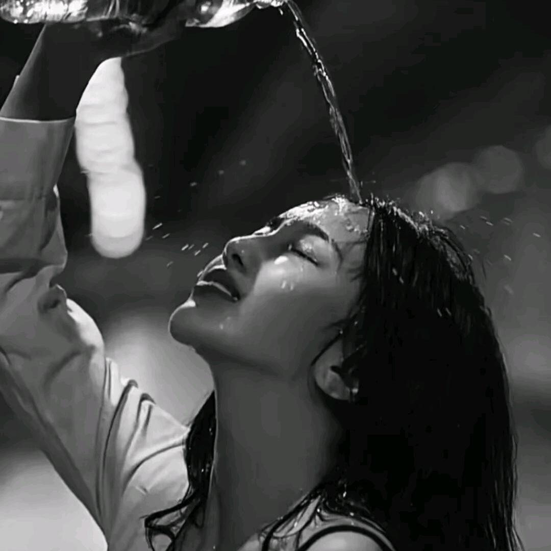 杨杨的