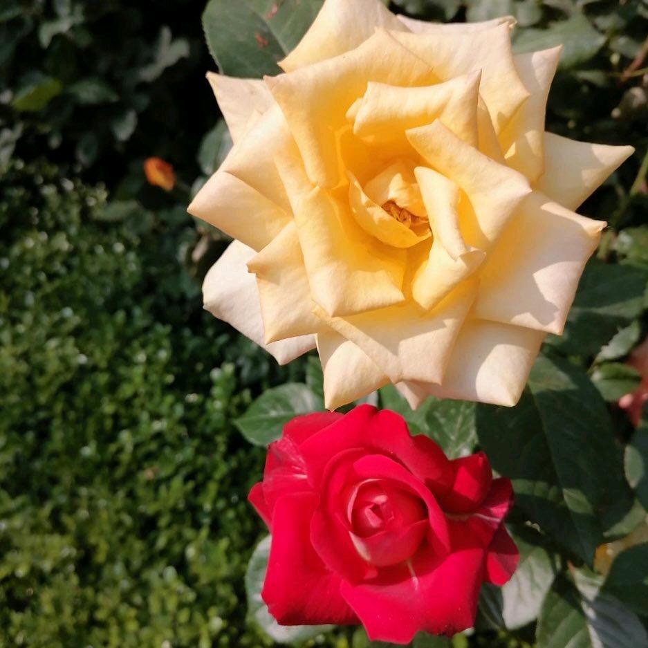 难得糊涂9235957933580