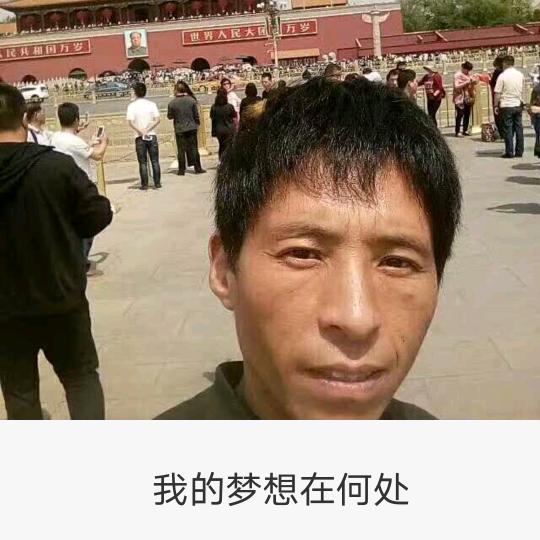 寻梦_