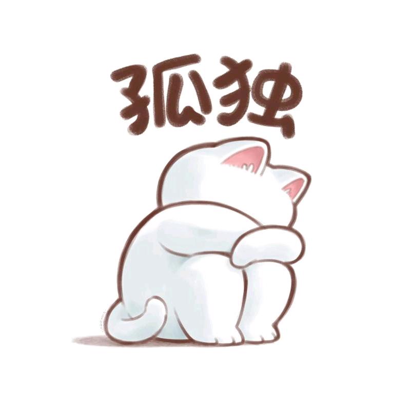 飘