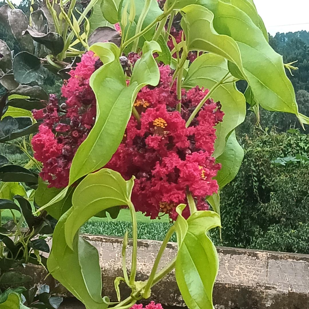 未经她人苦，莫劝她人善