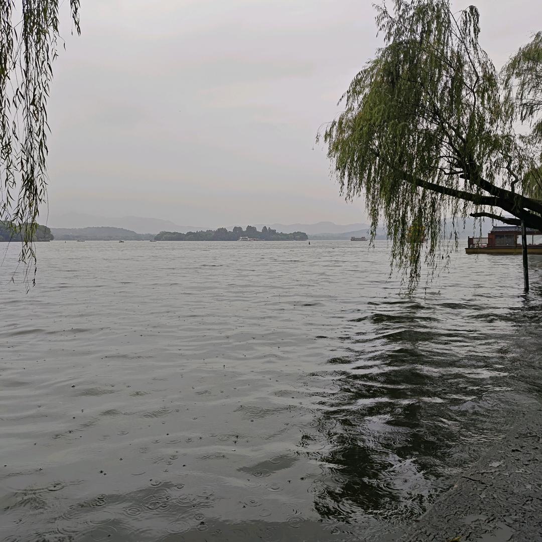 用户608238744481