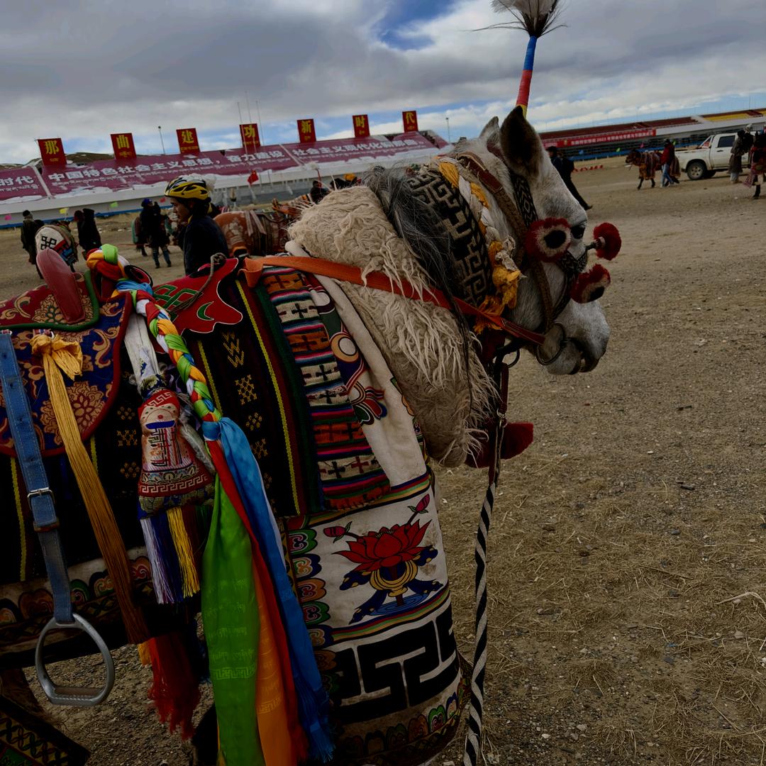 抖音     索…罗