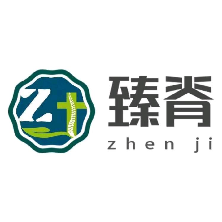 臻脊服务