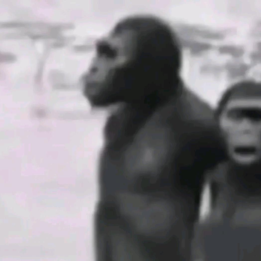 哉夬