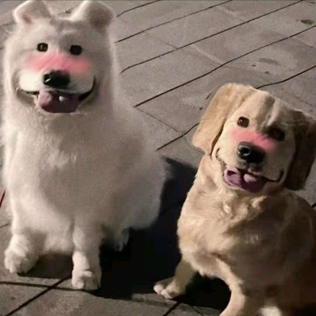 百事都阔落√