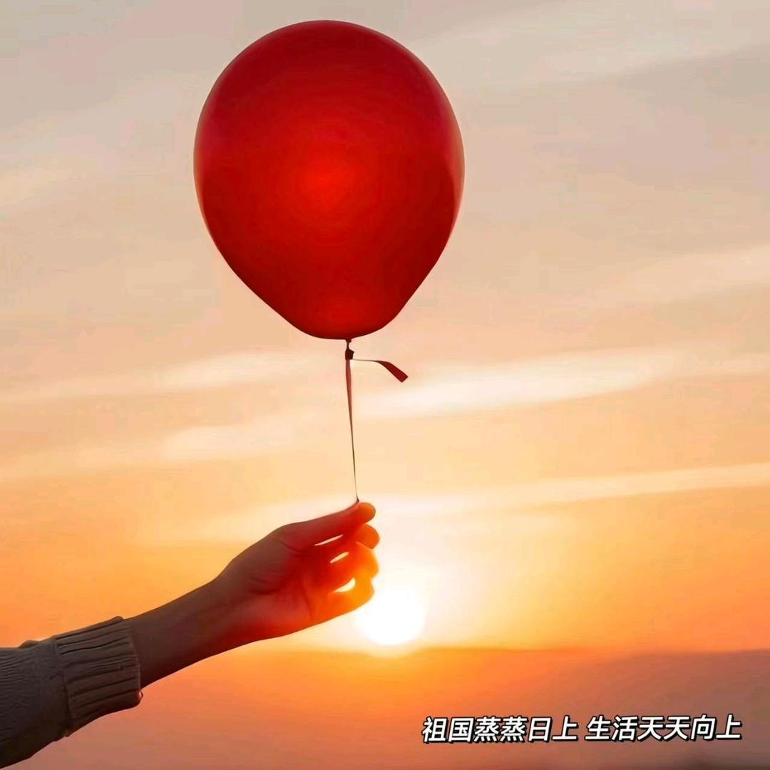 鑫鑫有钱