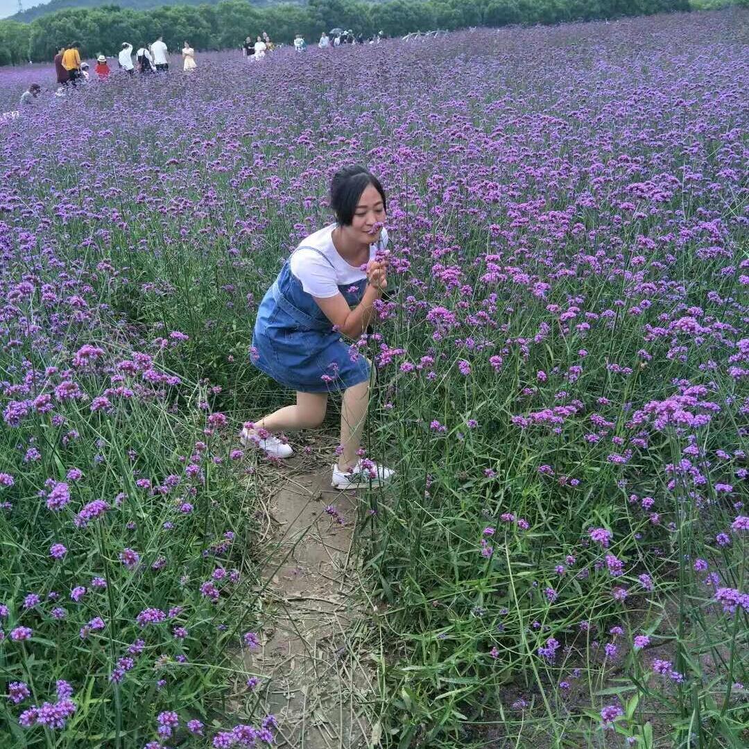 琴儿