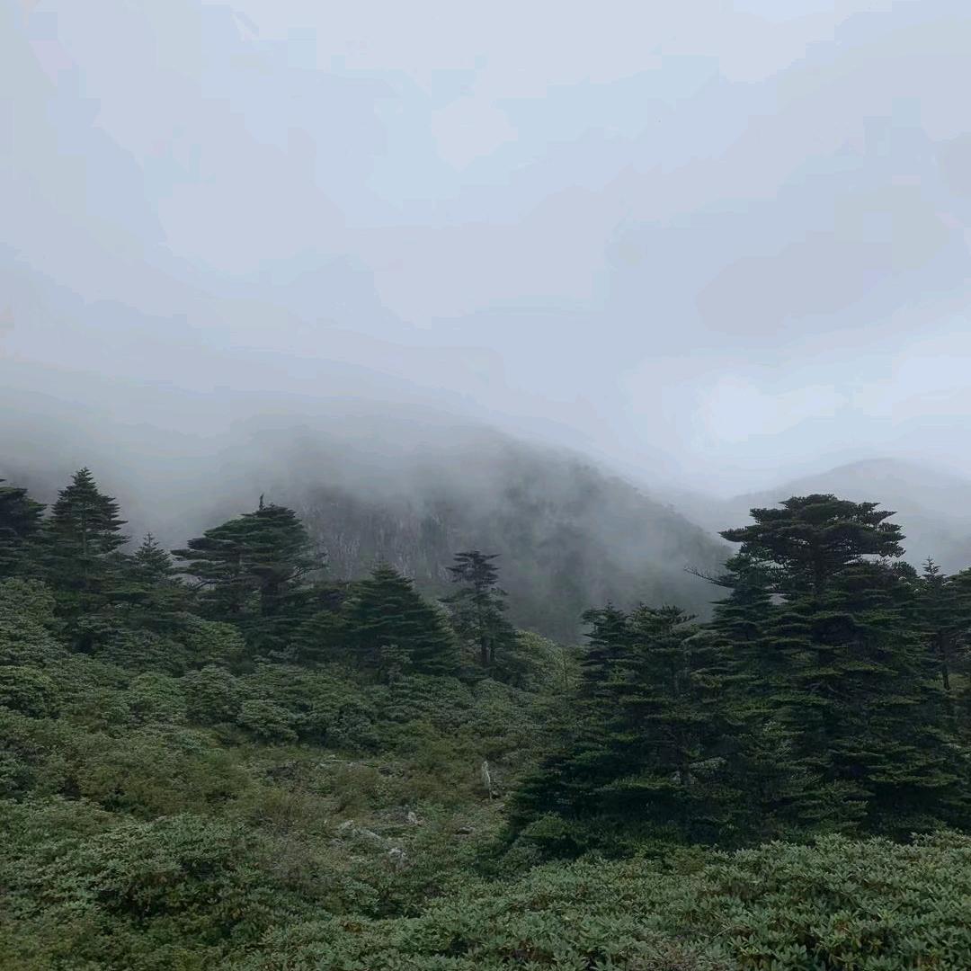 用户080264