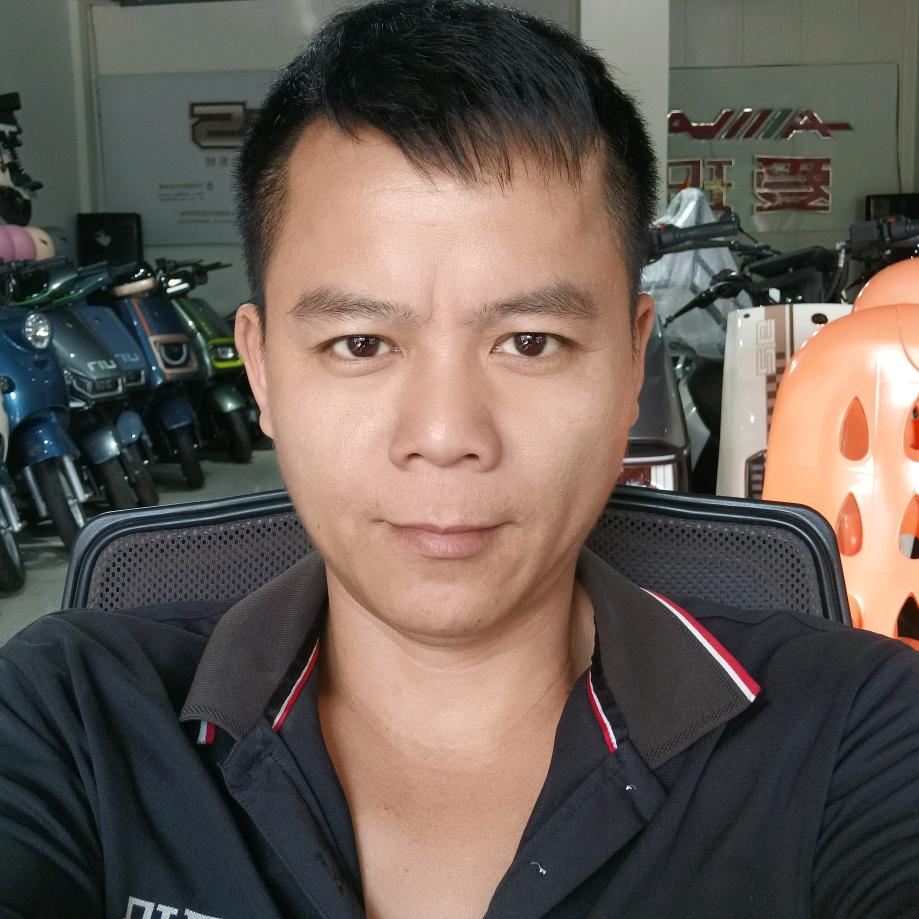 大阳电动车批发