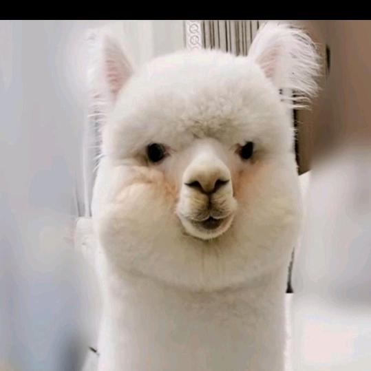 💞我姓（李）但离不开你💕