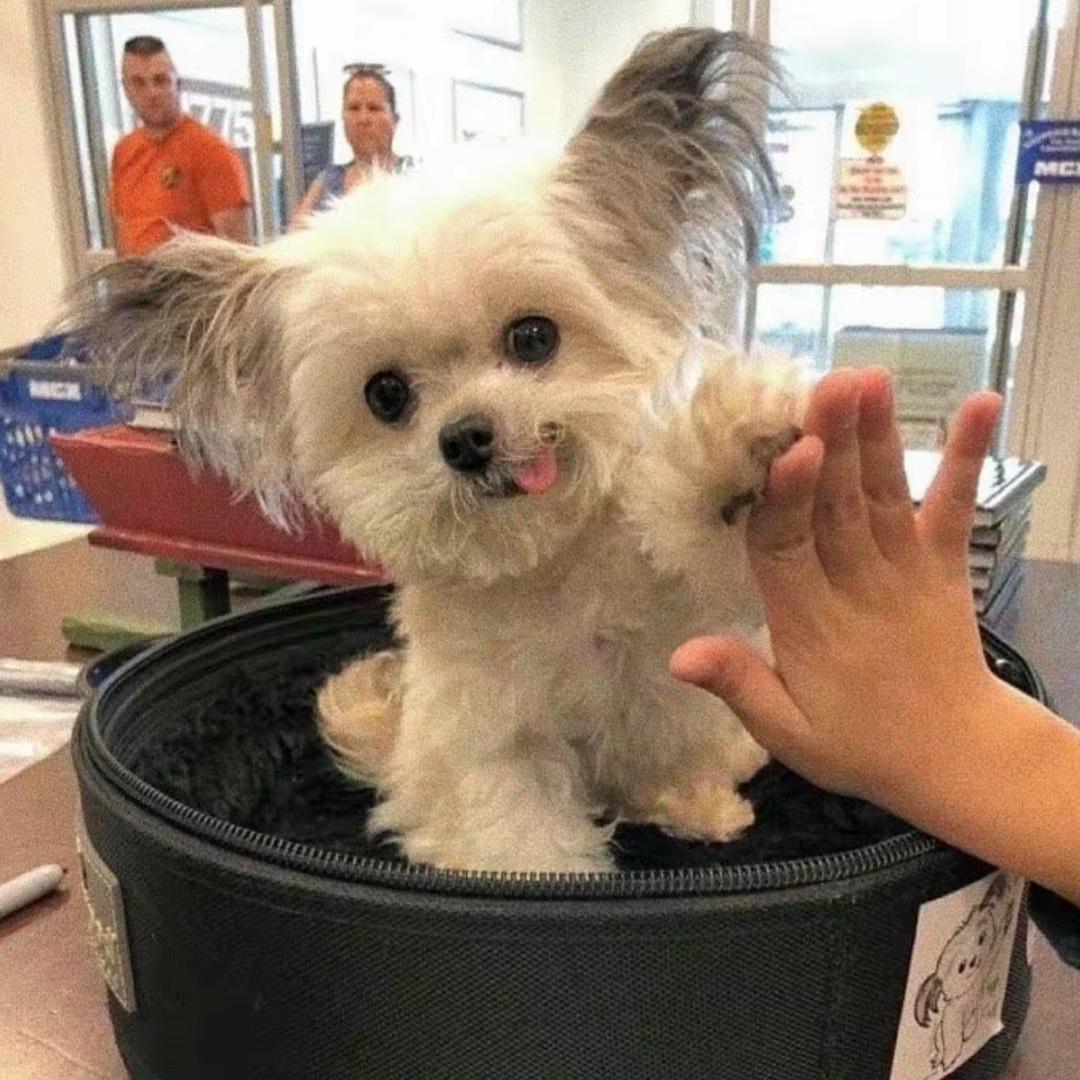 zwwwBo