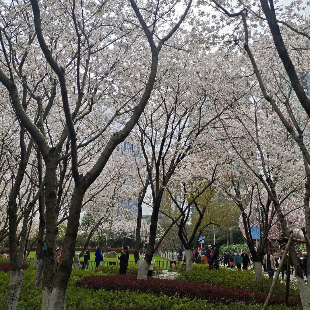 🎄逍🎄遥🎄王