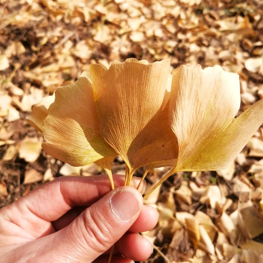 西渡欧姐做家政