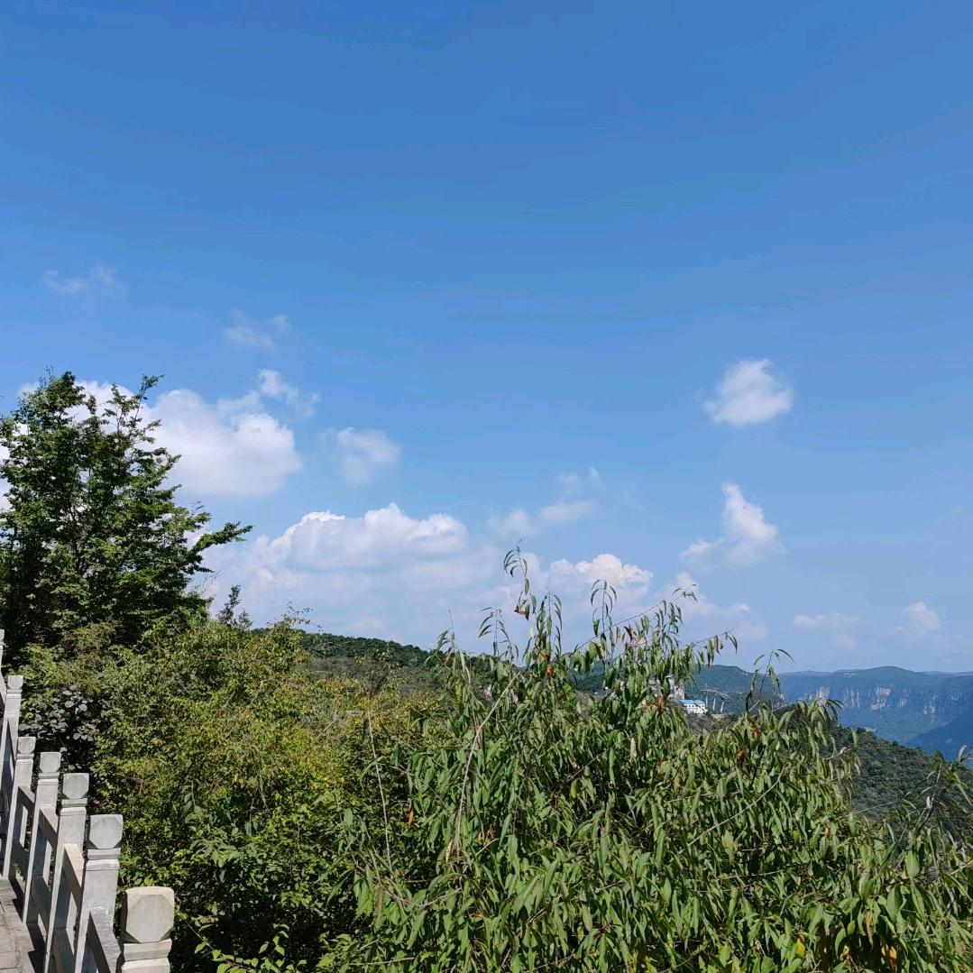 风华依旧笑春风