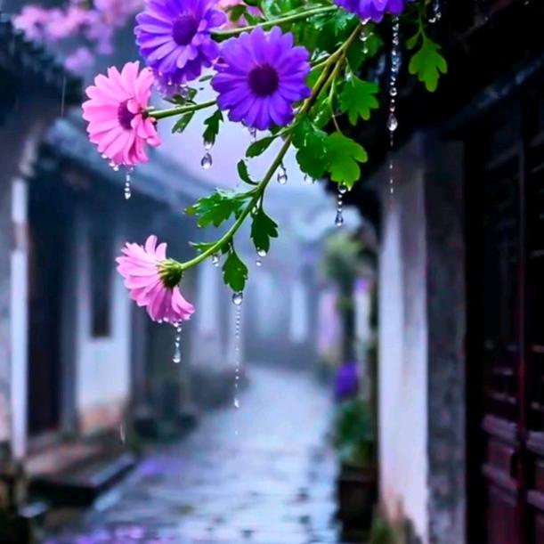 即如此便如此