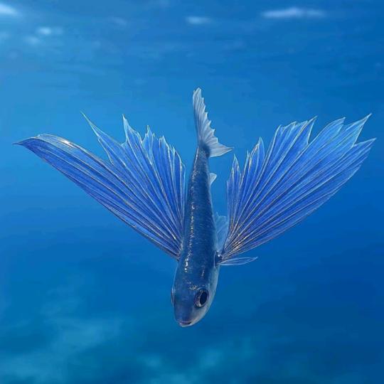 贱        走偏        疯