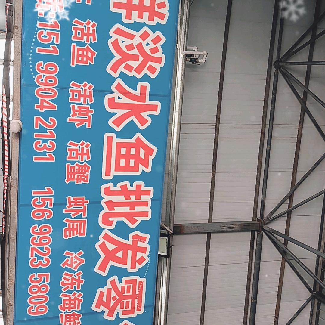 壹鲜淡水鱼批发零售