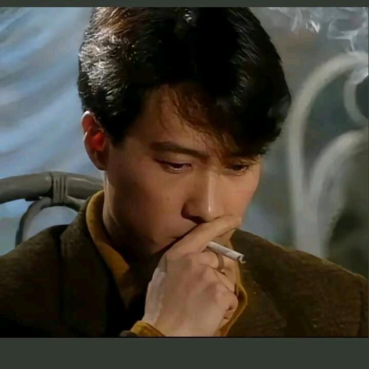 木易楊