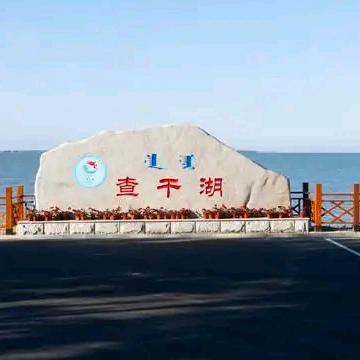 查干湖野生胖头鱼，