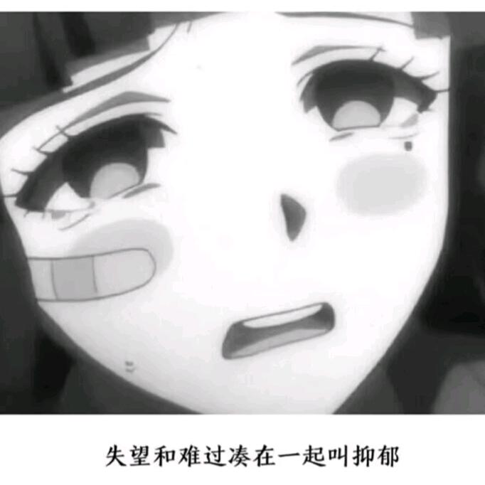 丽璇