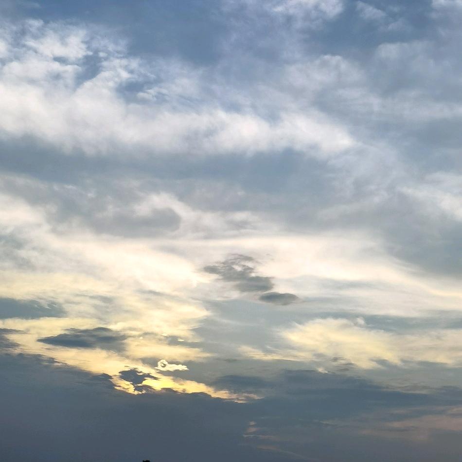 生活小碎片